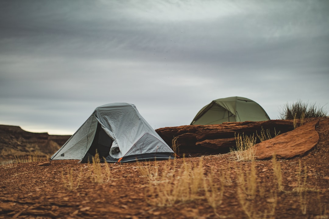Digital nomad lifestyle tips imagen 2